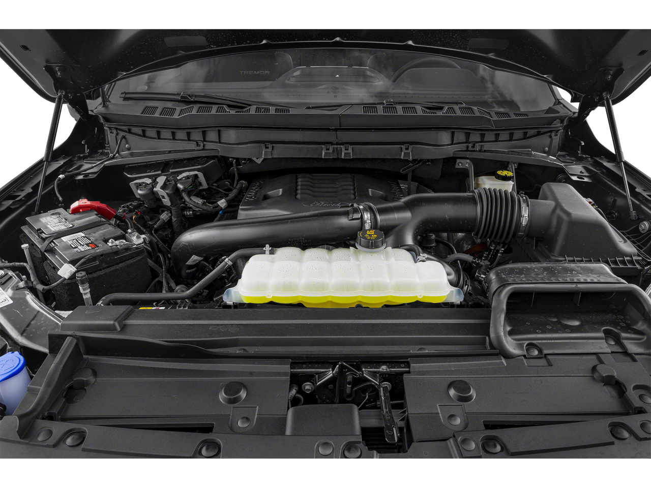 2021 Ford F-150 Tremor