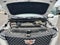 2023 Cadillac Escalade 4WD Premium Luxury