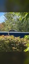 2022 RAM ProMaster 3500 3500 High Roof 159" WB EXT