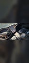 2017 Tesla Model S Base