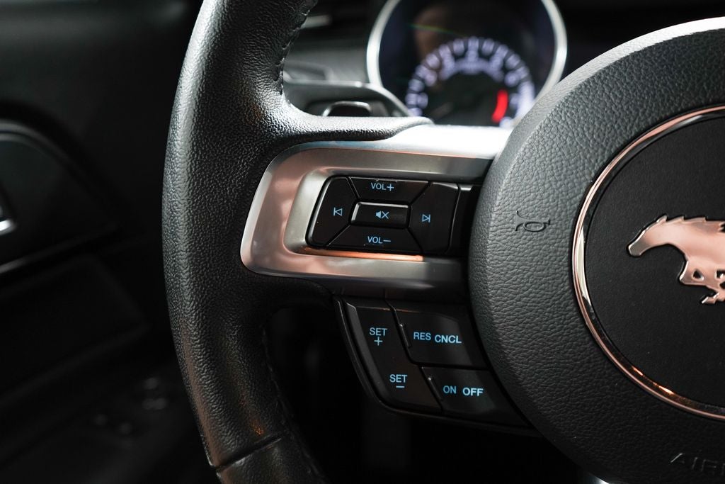 2019 Ford Mustang EcoBoost
