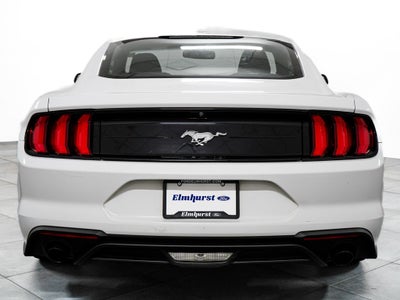 2019 Ford Mustang EcoBoost