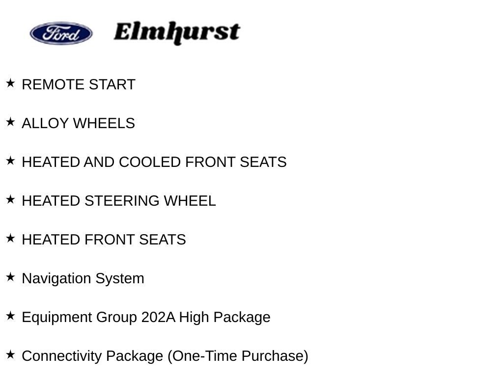 2025 Ford Expedition Active