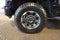 2024 Ford F-250SD Platinum
