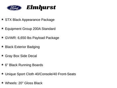 2024 Ford F-150 STX