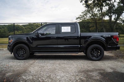 2025 Ford F-150 STX