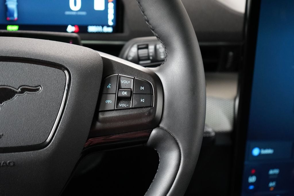 2023 Ford Mustang Mach-E California Route 1