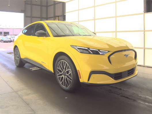 2025 Ford Mustang-Mach-e's photo