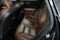 2019 Volvo XC60 T5 Momentum